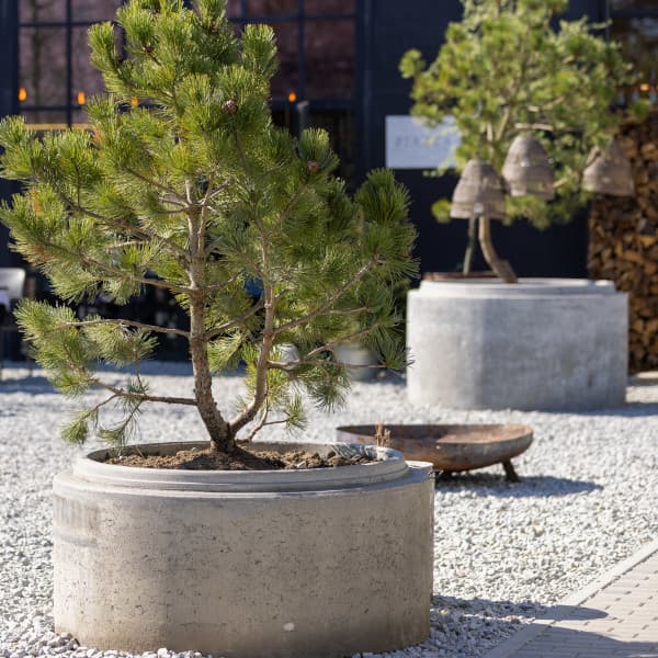 Okrągłe donice wykonane z betonowych kręgów studni stoją w ogródku restauracji