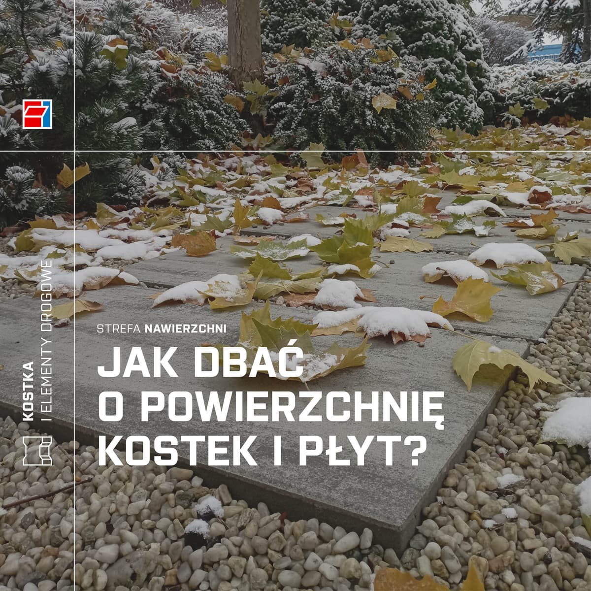 Jak dbać o powierzchnię kostek i płyt?